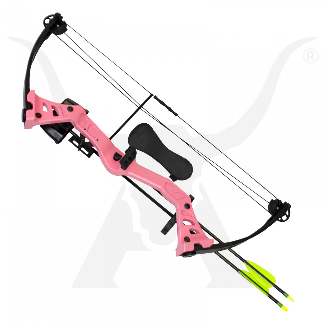 Introducing The Junxing M129 : A Most Modern Compound Bow