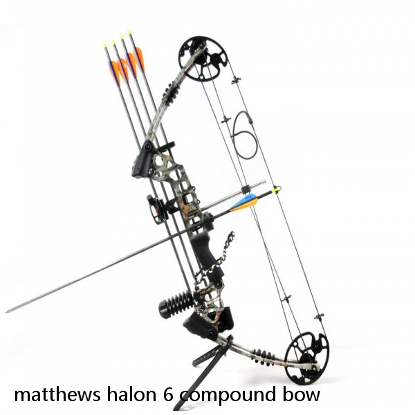 matthews halon 6 compound bow