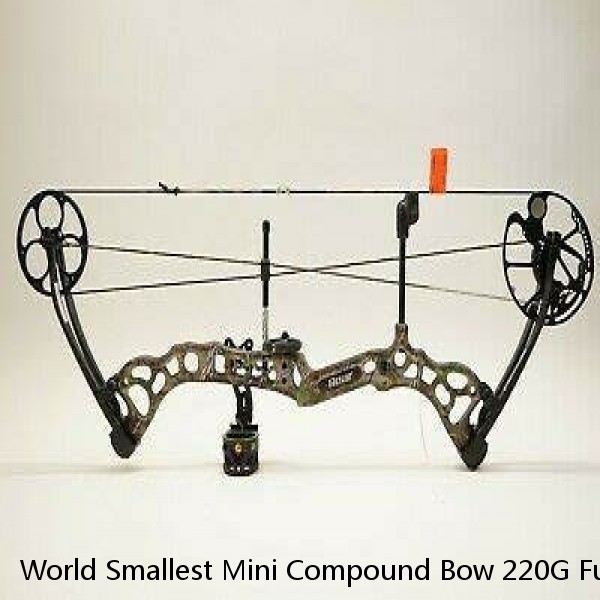 World Smallest Mini Compound Bow 220G Full Features For Kids Adult Deluxe Toy