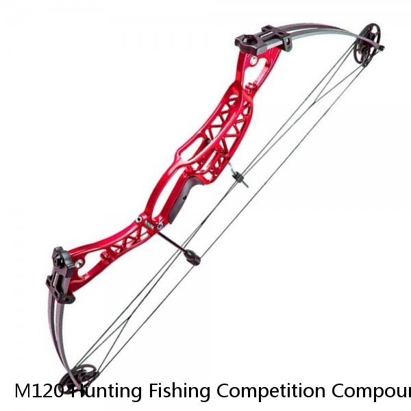 M120 Hunting Fishing Competition Compound Bow for shooting Archery Arrow 20-70lbs Aluminum Riser Laminated Limbs