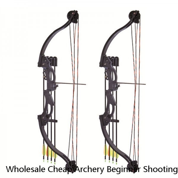 Wholesale Cheap Archery Beginner Shooting Takedown Recurve Bow For Hunting